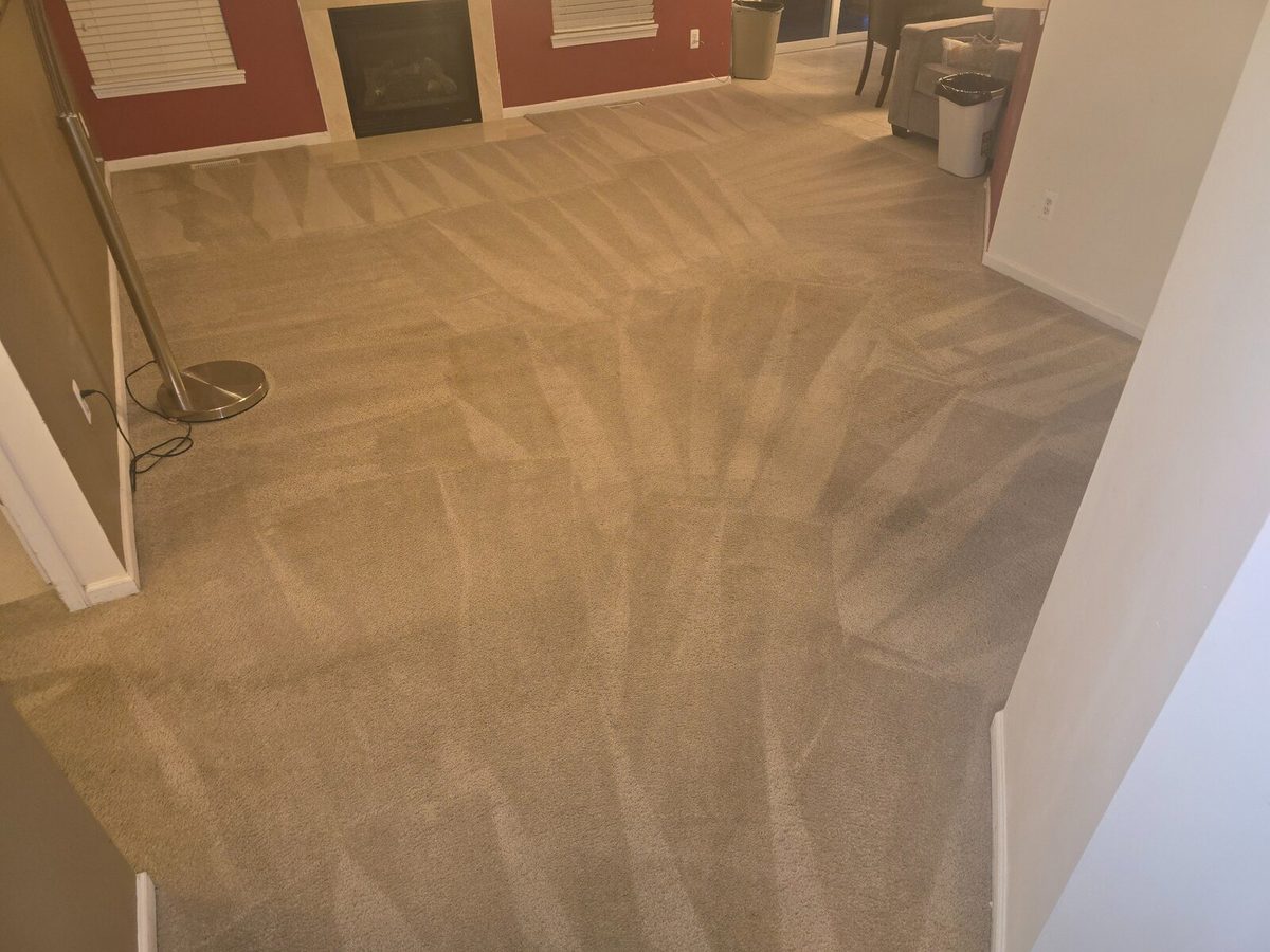 Carpet after professional deep cleaning by Clean It Best