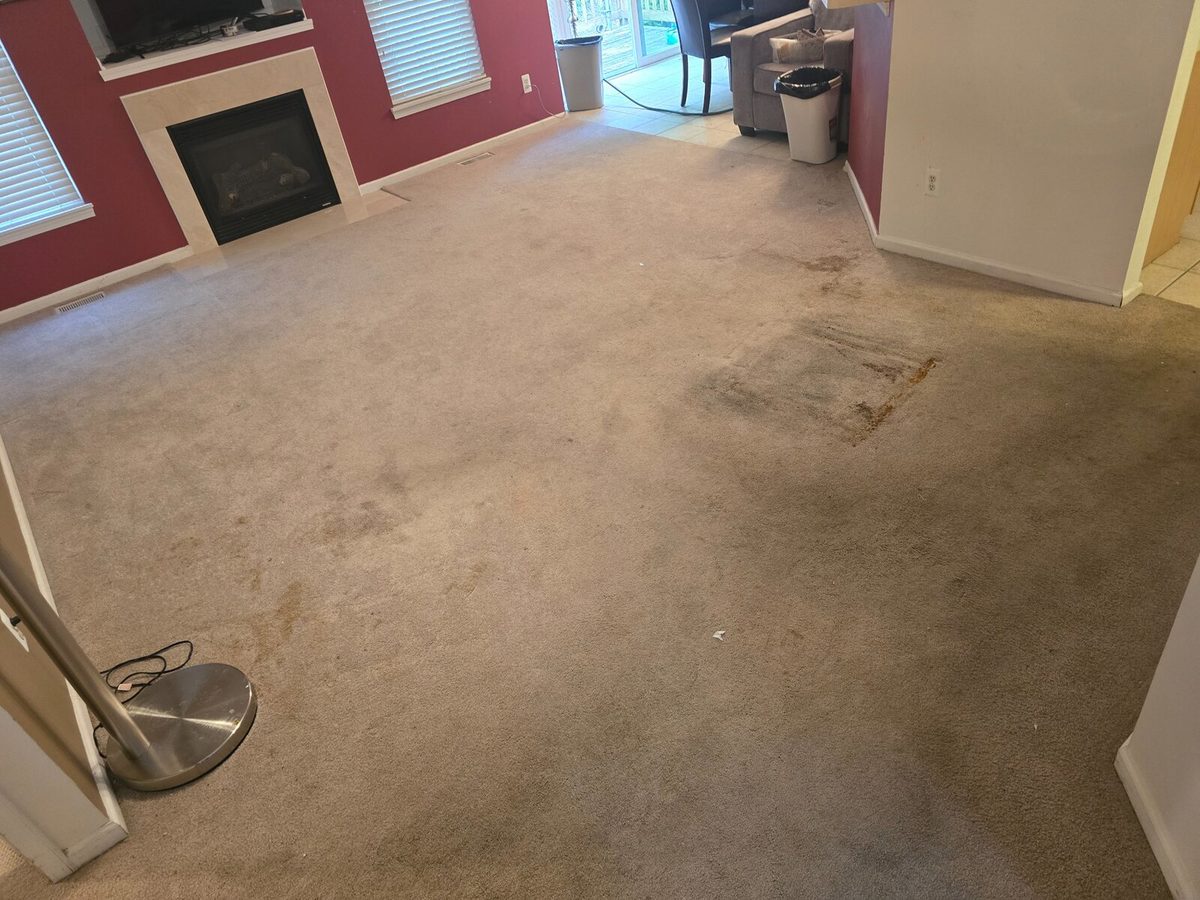 Heavily soiled carpet before professional cleaning by Clean It Best